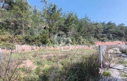 COLDWELL BANKER POYRAZ'DAN YENİ KÖYDE DOĞA İLE İÇ İÇE 250 M² TARLA