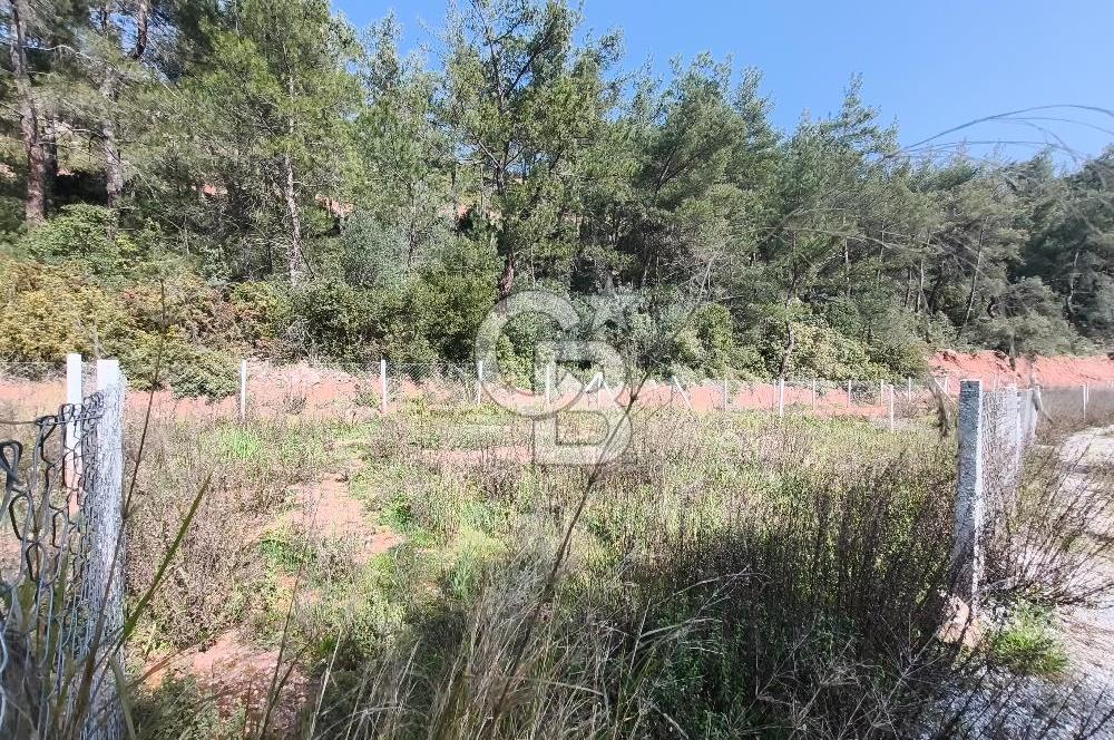 COLDWELL BANKER POYRAZ'DAN YENİ KÖYDE DOĞA İLE İÇ İÇE 250 M² TARLA