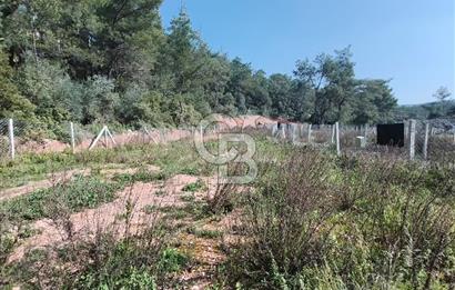 COLDWELL BANKER POYRAZ'DAN YENİ KÖYDE DOĞA İLE İÇ İÇE 250 M² TARLA