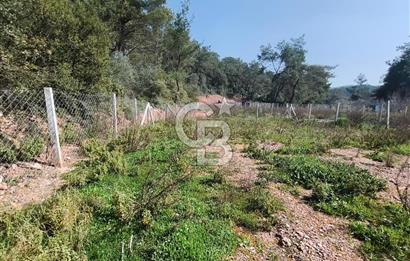 COLDWELL BANKER POYRAZ'DAN YENİ KÖYDE DOĞA İLE İÇ İÇE 250 M² TARLA