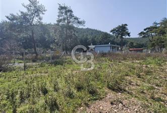 COLDWELL BANKER POYRAZ'DAN YENİ KÖYDE DOĞA İLE İÇ İÇE 250 M² TARLA - 5 - 339779