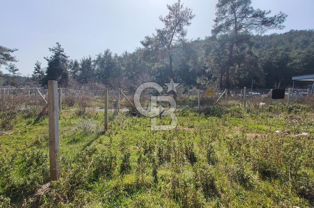 COLDWELL BANKER POYRAZ'DAN YENİ KÖYDE DOĞA İLE İÇ İÇE 250 M² TARLA