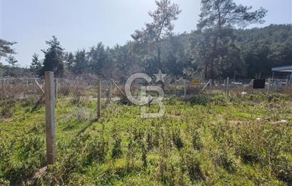 COLDWELL BANKER POYRAZ'DAN YENİ KÖYDE DOĞA İLE İÇ İÇE 250 M² TARLA