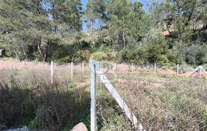 COLDWELL BANKER POYRAZ'DAN YENİ KÖYDE DOĞA İLE İÇ İÇE 250 M² TARLA