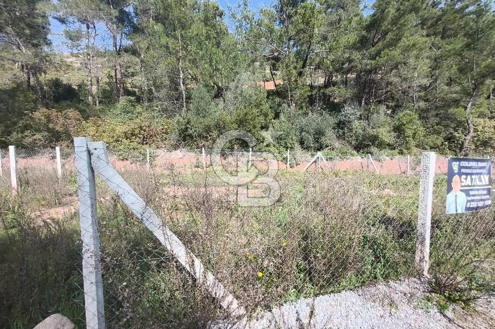 COLDWELL BANKER POYRAZ'DAN YENİ KÖYDE DOĞA İLE İÇ İÇE 250 M² TARLA