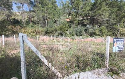 COLDWELL BANKER POYRAZ'DAN YENİ KÖYDE DOĞA İLE İÇ İÇE 250 M² TARLA