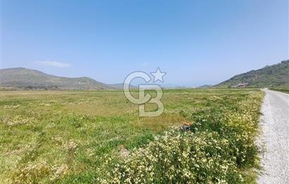 COLDWELL BANKER POYRAZ'DAN FIRSAT FİYATINA SATILIK ARAZİ