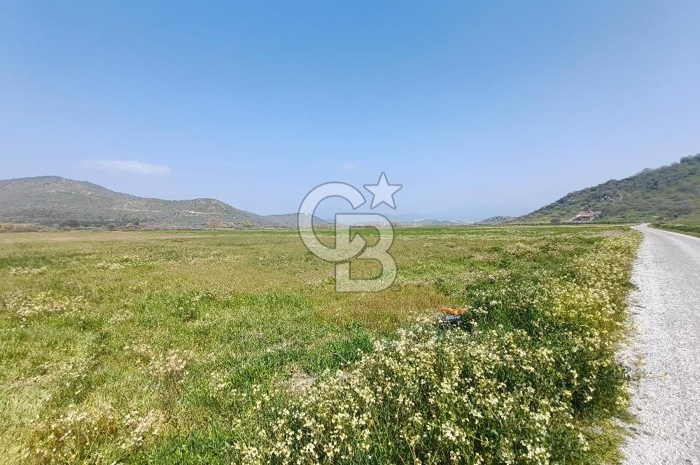 COLDWELL BANKER POYRAZ'DAN FIRSAT FİYATINA SATILIK ARAZİ