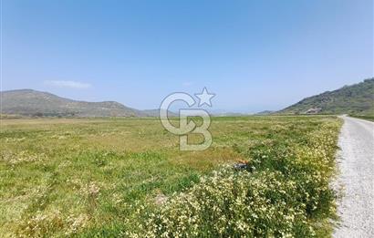 COLDWELL BANKER POYRAZ'DAN FIRSAT FİYATINA SATILIK ARAZİ