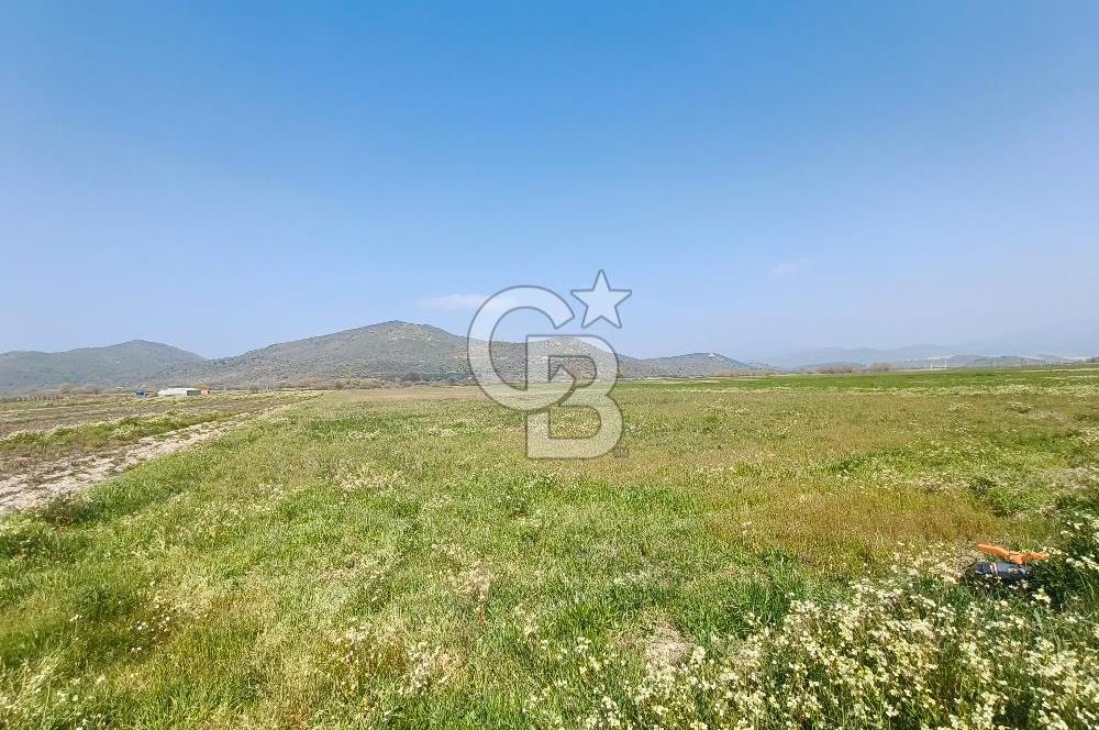 COLDWELL BANKER POYRAZ'DAN FIRSAT FİYATINA SATILIK ARAZİ