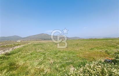 COLDWELL BANKER POYRAZ'DAN FIRSAT FİYATINA SATILIK ARAZİ