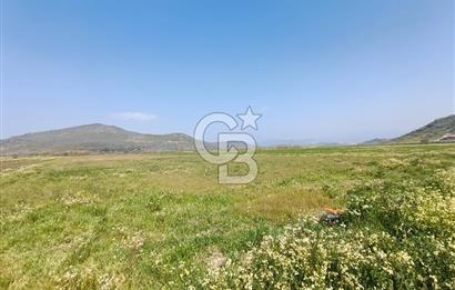 COLDWELL BANKER POYRAZ'DAN FIRSAT FİYATINA SATILIK ARAZİ