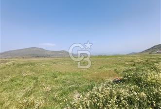 COLDWELL BANKER POYRAZ'DAN FIRSAT FİYATINA SATILIK ARAZİ - 1 - 339814