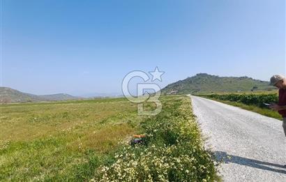 COLDWELL BANKER POYRAZ'DAN FIRSAT FİYATINA SATILIK ARAZİ