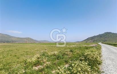 COLDWELL BANKER POYRAZ'DAN FIRSAT FİYATINA SATILIK ARAZİ