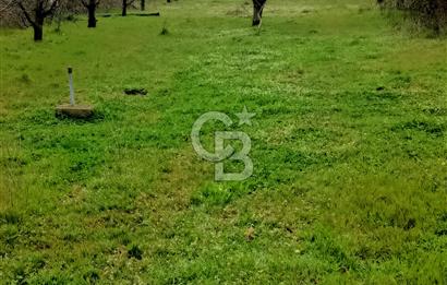 CB LEADER DAN SATILIK YOL KENARINDA TARLA