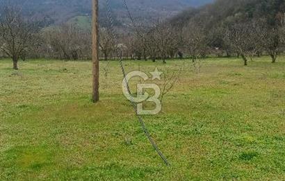 CB LEADER DAN SATILIK YOL KENARINDA TARLA