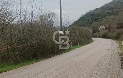 CB LEADER DAN SATILIK YOL KENARINDA TARLA