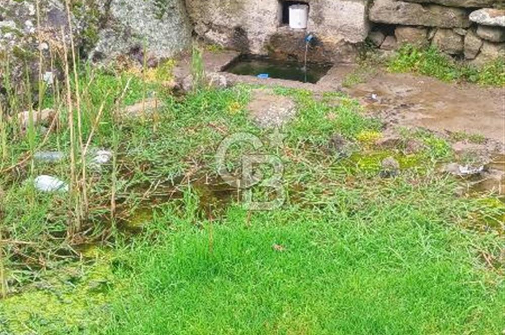 CB LEADER DAN SATILIK YOL KENARINDA TARLA