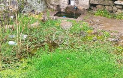 CB LEADER DAN SATILIK YOL KENARINDA TARLA