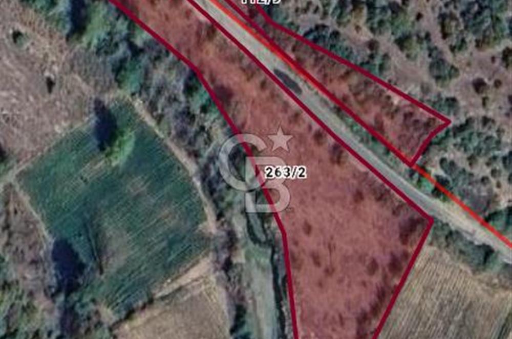 CB LEADER DAN SATILIK YOL KENARINDA TARLA