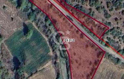 CB LEADER DAN SATILIK YOL KENARINDA TARLA