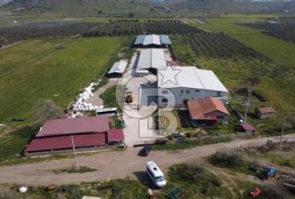 COLDWELL BANKER POYRAZ'DAN FIRSAT FİYATINA ACİL SATILIK ÇİFTLİK - 2 - 339784