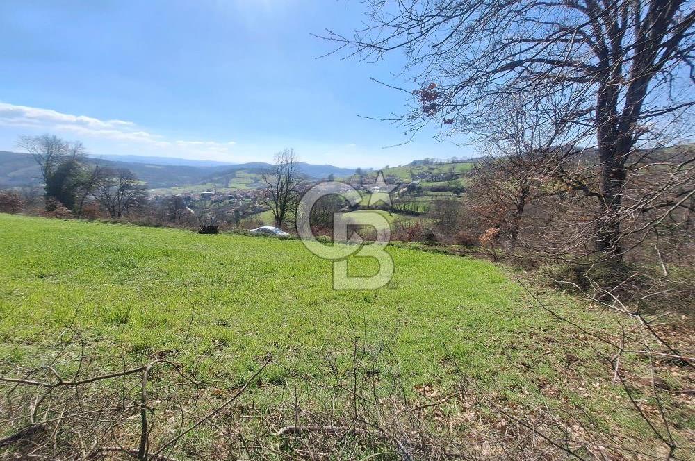 ÇAN HACILAR’DA MERKEZE 5 DK MESAFEDE 3.592m2 SATILIK TARLA