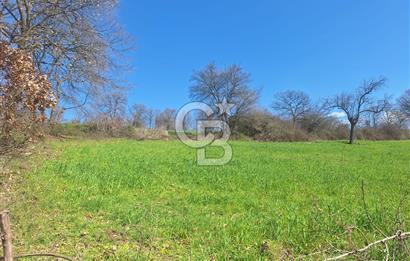 ÇAN HACILAR’DA MERKEZE 5 DK MESAFEDE 3.592m2 SATILIK TARLA