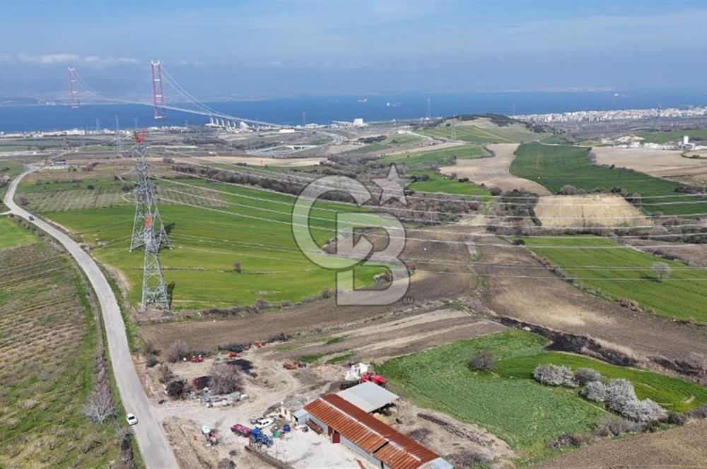 Lapseki Kocavelide Köprü Manzaralı, 24.000 m2 Satılık Tarla