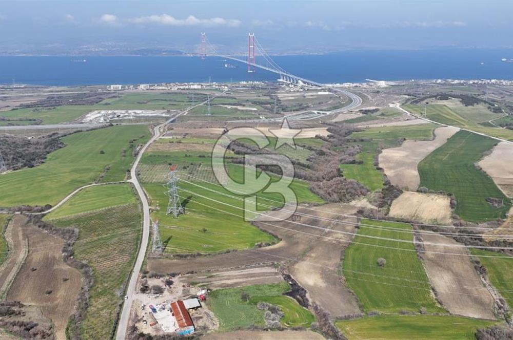 Lapseki Kocavelide Köprü Manzaralı, 24.000 m2 Satılık Tarla