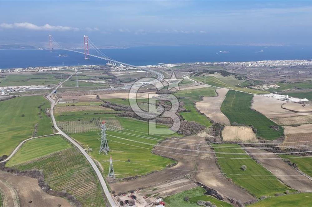 Lapseki Kocavelide Köprü Manzaralı, 24.000 m2 Satılık Tarla