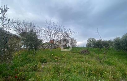 ŞEHZADELER KIRANÇİFTLİK'DE MÜSTAKİL YAŞAM