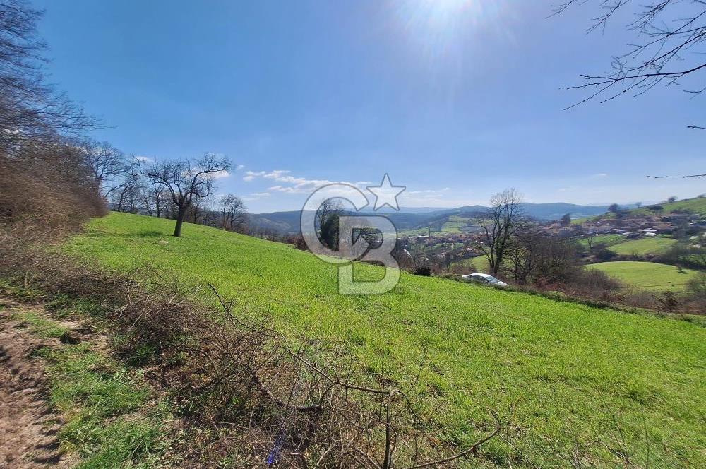 ÇAN HACILAR’DA MERKEZE 5 DK MESAFEDE 3.592m2 SATILIK TARLA