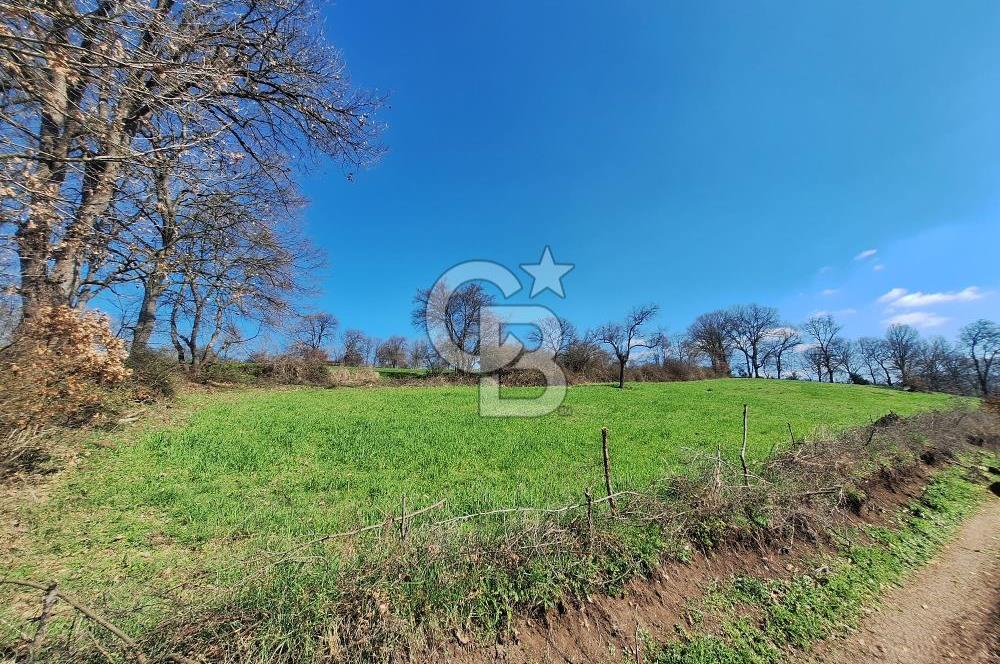 ÇAN HACILAR’DA MERKEZE 5 DK MESAFEDE 3.592m2 SATILIK TARLA