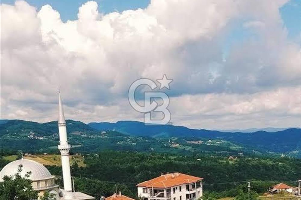 Basiskele tepecik 4 donum satilik tarla 