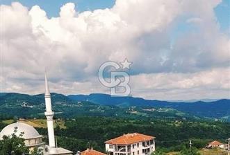 Basiskele tepecik 4 donum satilik tarla  - 1 - 339760