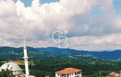 Basiskele tepecik 4 donum satilik tarla 