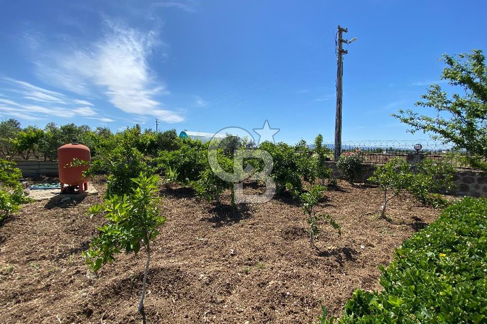 İzmir Menderes'de 5+2 Satılık Müştemilatlı Müstakil Dubleks Ev