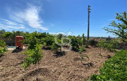 İzmir Menderes'de 5+2 Satılık Müştemilatlı Müstakil Dubleks Ev