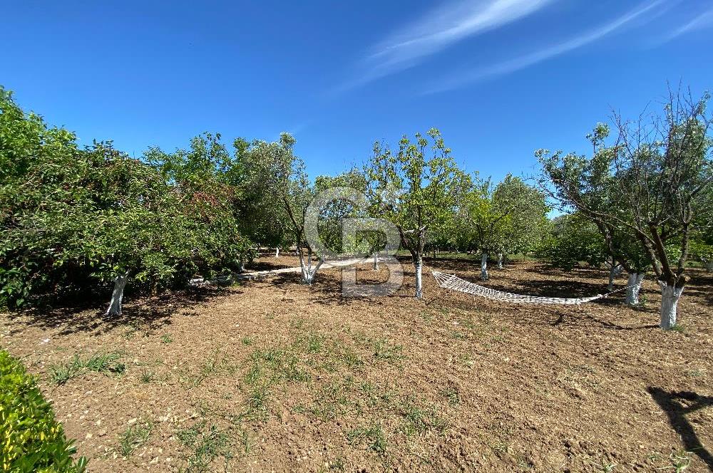 İzmir Menderes'de 5+2 Satılık Müştemilatlı Müstakil Dubleks Ev