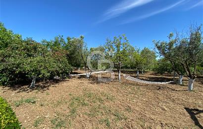 İzmir Menderes'de 5+2 Satılık Müştemilatlı Müstakil Dubleks Ev