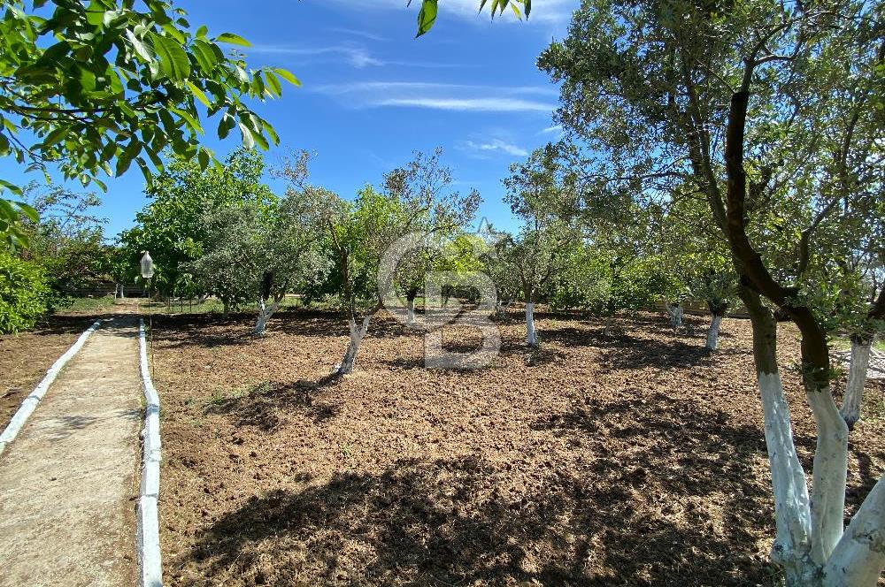 İzmir Menderes'de 5+2 Satılık Müştemilatlı Müstakil Dubleks Ev