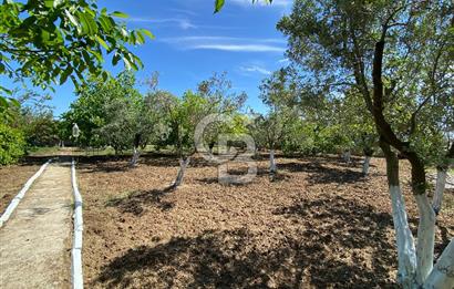 İzmir Menderes'de 5+2 Satılık Müştemilatlı Müstakil Dubleks Ev