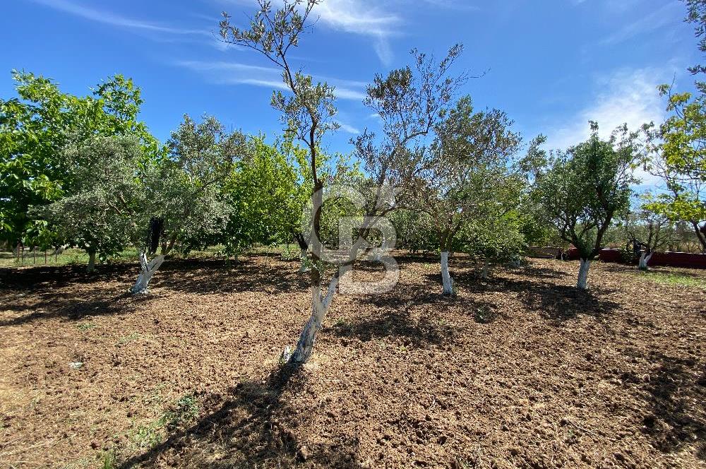 İzmir Menderes'de 5+2 Satılık Müştemilatlı Müstakil Dubleks Ev