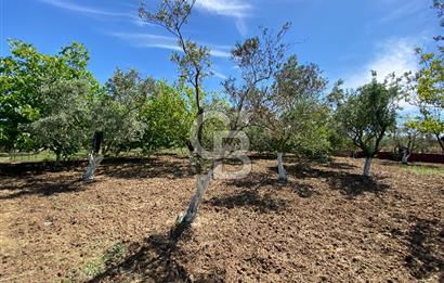 İzmir Menderes'de 5+2 Satılık Müştemilatlı Müstakil Dubleks Ev