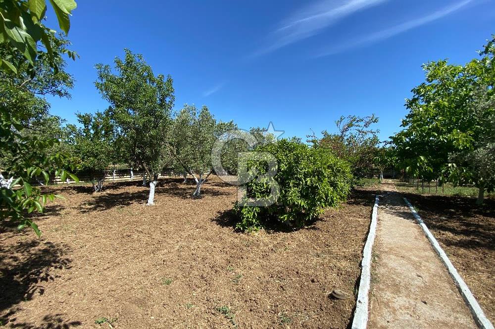 İzmir Menderes'de 5+2 Satılık Müştemilatlı Müstakil Dubleks Ev