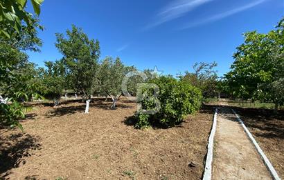 İzmir Menderes'de 5+2 Satılık Müştemilatlı Müstakil Dubleks Ev