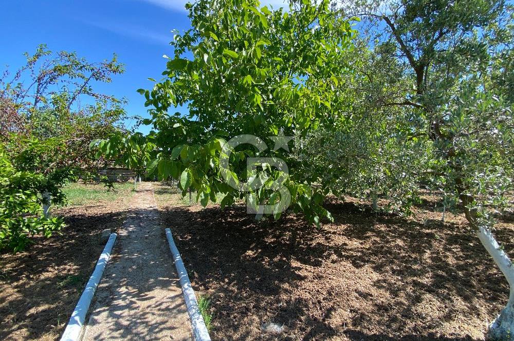 İzmir Menderes'de 5+2 Satılık Müştemilatlı Müstakil Dubleks Ev