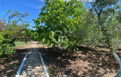 İzmir Menderes'de 5+2 Satılık Müştemilatlı Müstakil Dubleks Ev